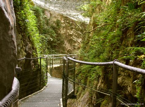 gorges de fou|Les Gorges de la Fou (the narrowest gorge in the world)